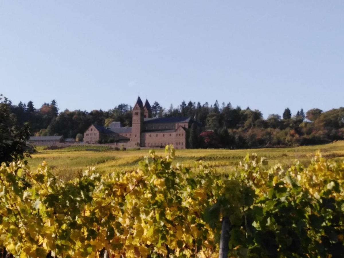 Rheingau Und Weltkulturerbe Mittelrheintal Erleben - Ferienappartement In Winkel Oestrich-Winkel Luaran gambar