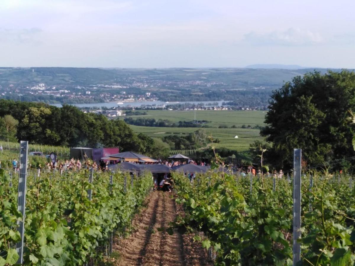 Rheingau Und Weltkulturerbe Mittelrheintal Erleben - Ferienappartement In Winkel Oestrich-Winkel Luaran gambar